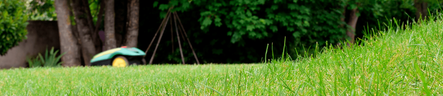 Auto-Mow-robot-mower Auto-Mow