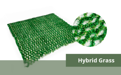AM Hybrid Grass as lawn protection