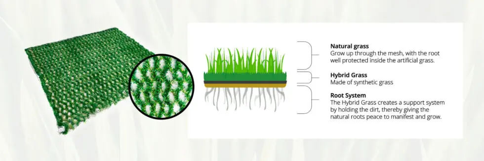 Auto-Mow Hybrid Grass explained